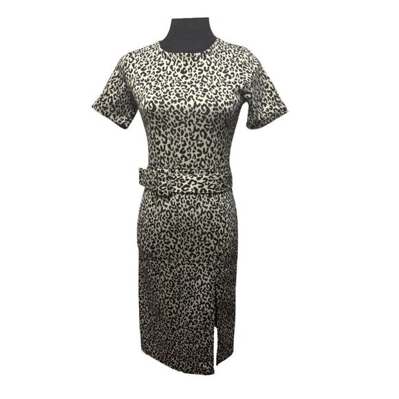 Zara Animal Print Dress - Picture 2 of 10